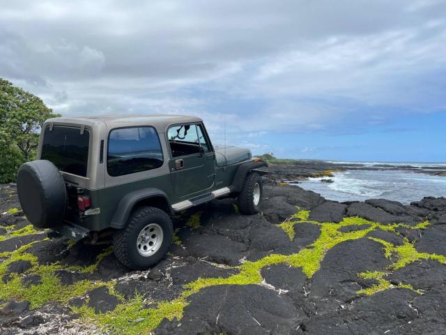 Jeep Wrangler image 1