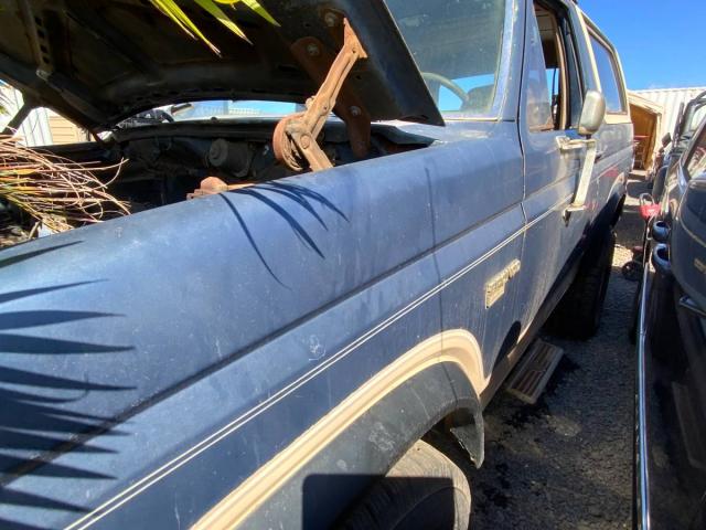 Ford Bronco image 1