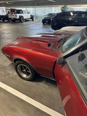Pontiac Firebird image 6