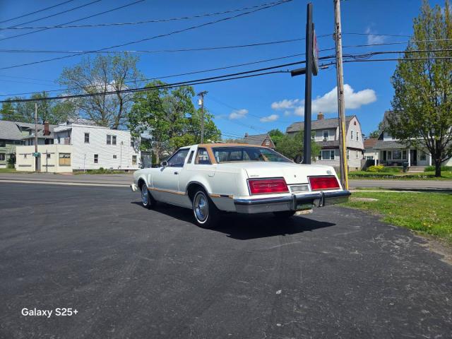 Ford Thunderbird image 5