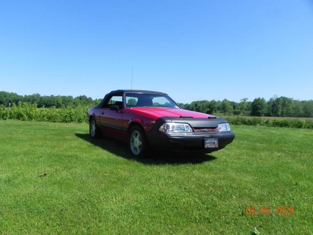 Ford Mustang image 1