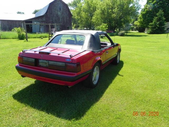 Ford Mustang image 2