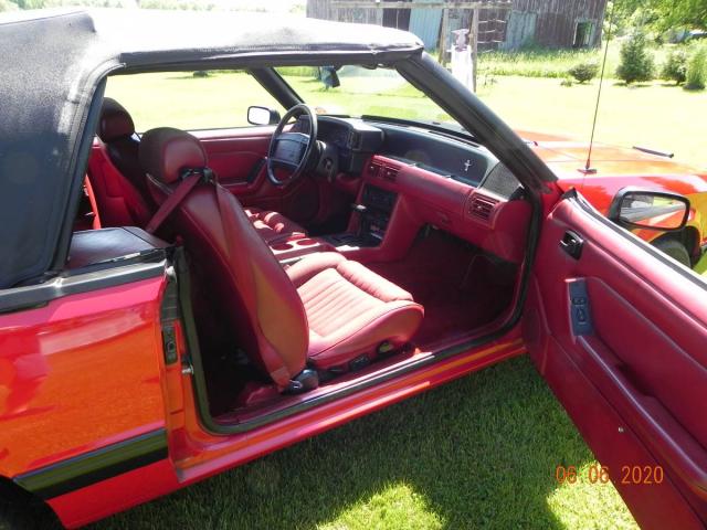 Ford Mustang image 4