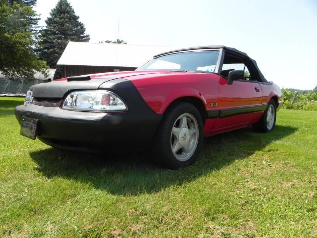 Ford Mustang image 3