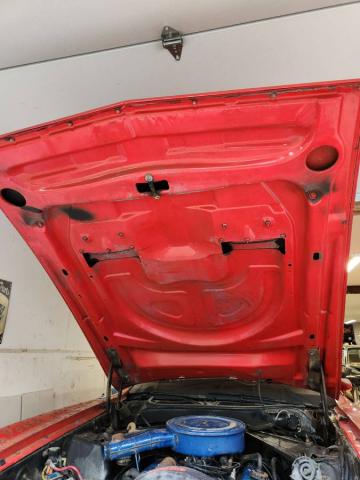 Ford Mustang image 5