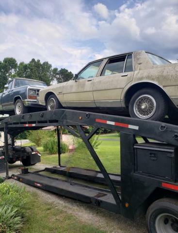 Chevrolet Caprice Classic image 3