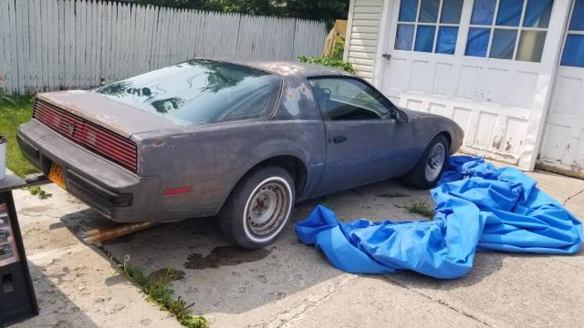 Pontiac Firebird image 9