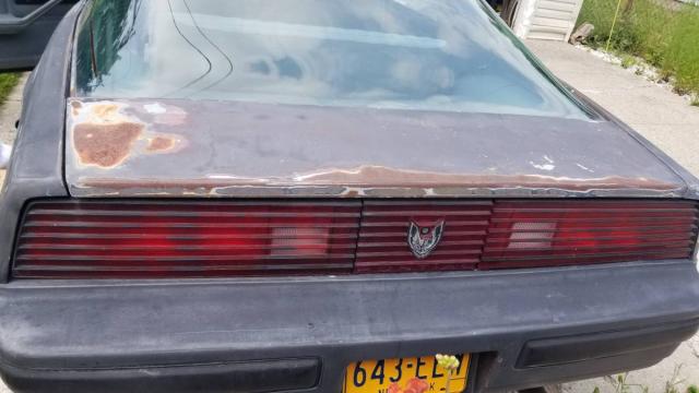 Pontiac Firebird image 5
