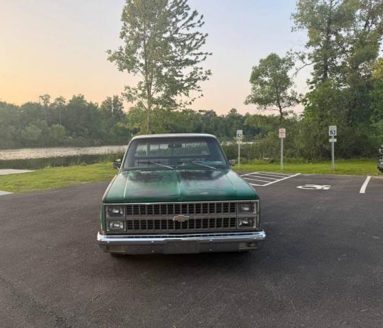 Chevrolet C10 Truck image 1