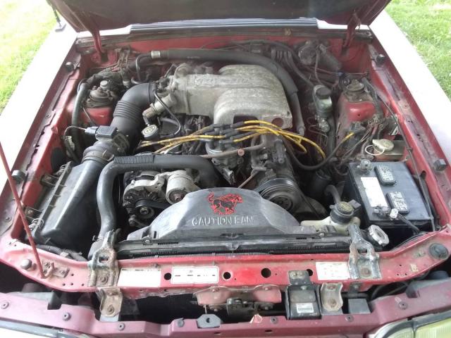 Ford Mustang image 4