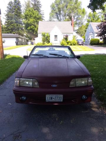 Ford Mustang image 6