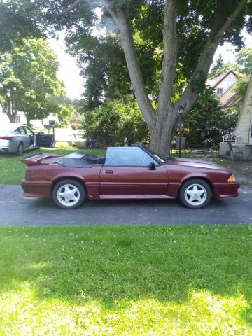 Ford Mustang image 3
