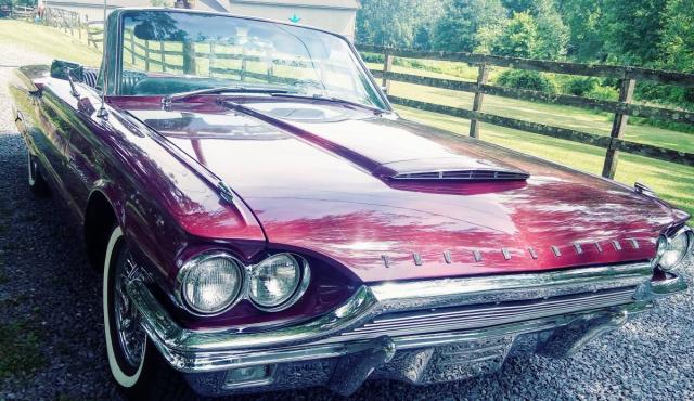 Ford Thunderbird Convertible image 9