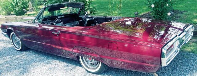 Ford Thunderbird Convertible image 4