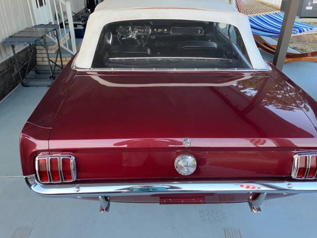Ford Mustang Convertible image 2