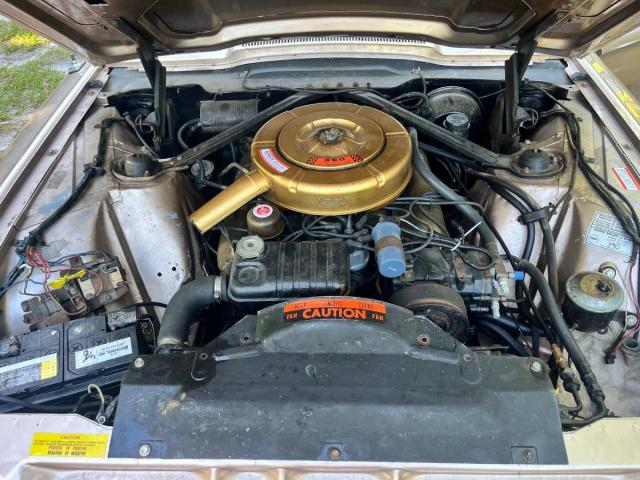 Ford Thunderbird image 8
