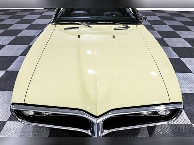 Pontiac Firebird image 3