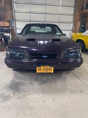 Ford Mustang image 2
