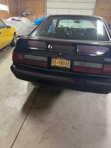 Ford Mustang image 3