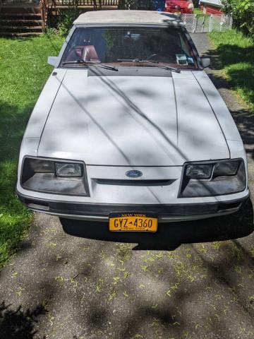 Ford Mustang image 3