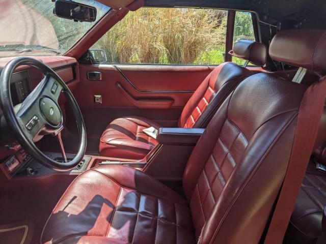 Ford Mustang image 4