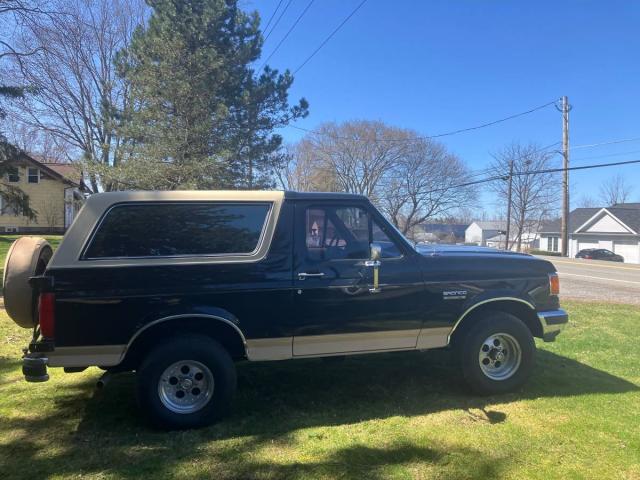 Ford Bronco Eddie Bauer 4x4 image 2