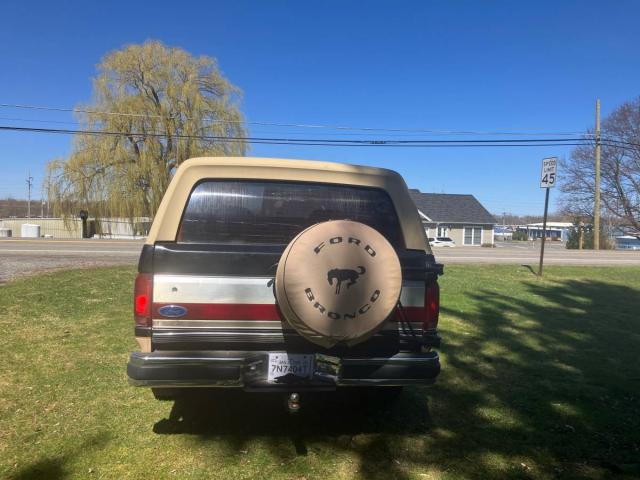 Ford Bronco Eddie Bauer 4x4 image 5