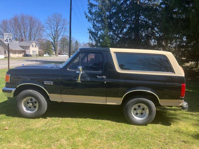 Ford Bronco Eddie Bauer 4x4 image 9