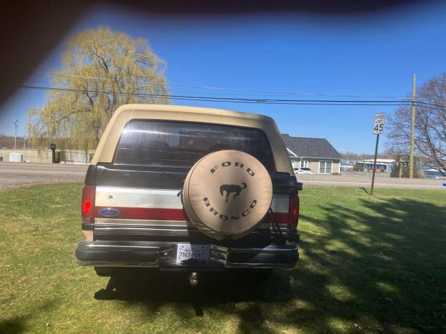 Ford Bronco Eddie Bauer 4x4 image 4