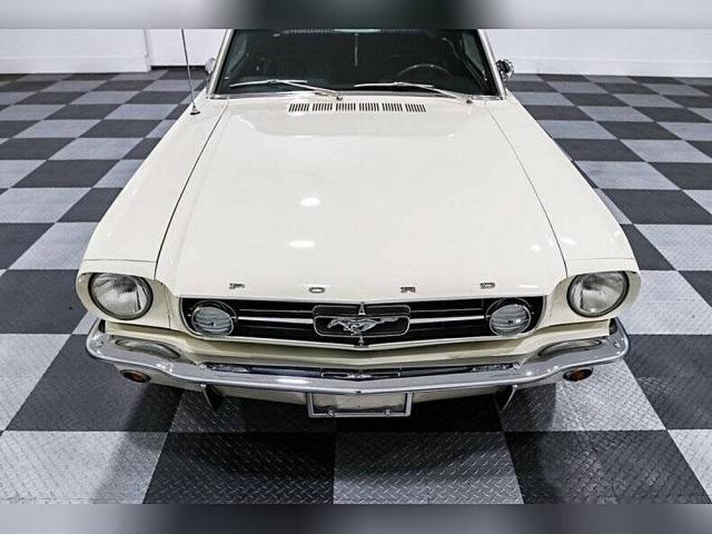 Ford Mustang image 5