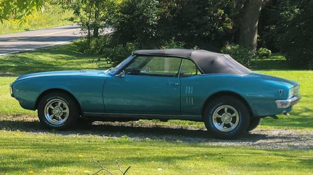 Pontiac Firebird image 8