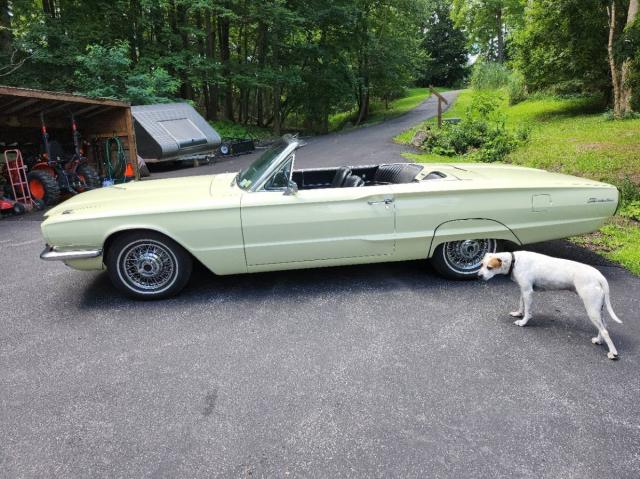 Ford Thunderbird Convertible image 5