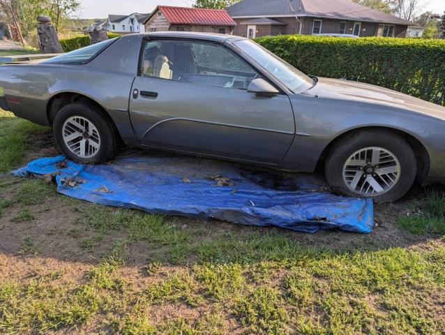 Pontiac Firebird image 3