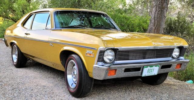 Chevrolet Nova image 2