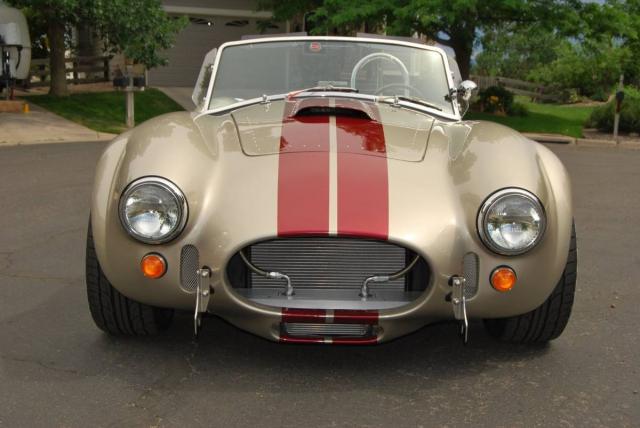 Shelby Replica image 6