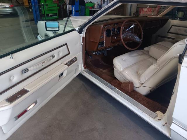 Ford Thunderbird image 8