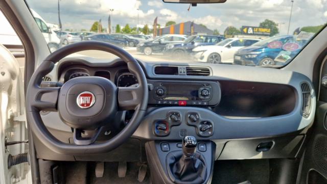 Fiat Panda image 6