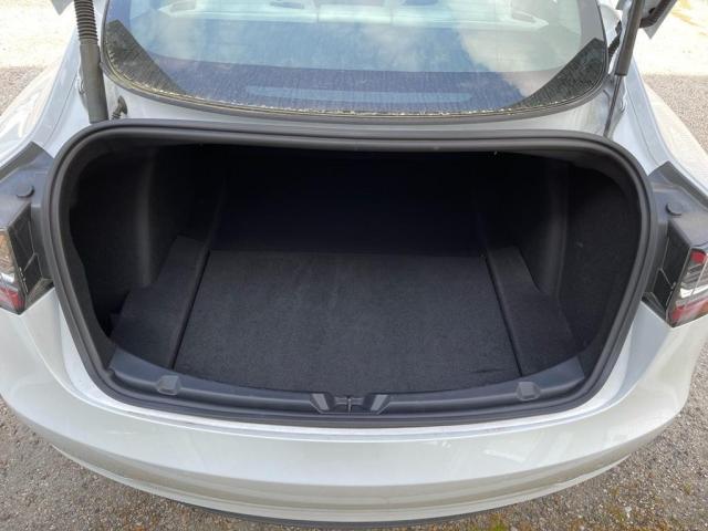 Tesla Tesla Model 3 Performance image 4