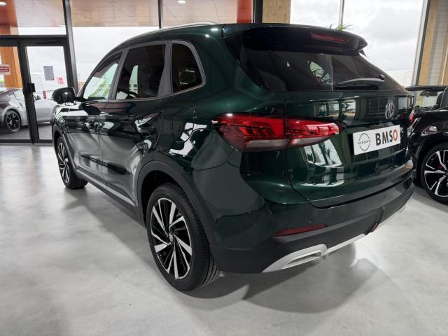 Mg Zs image 9