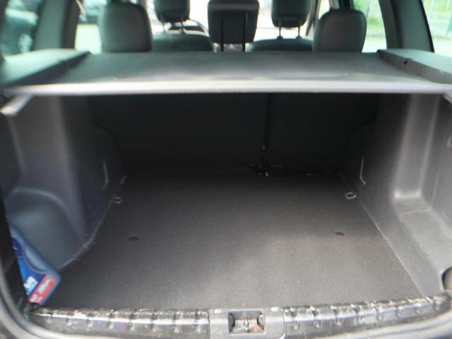 Dacia Duster image 1