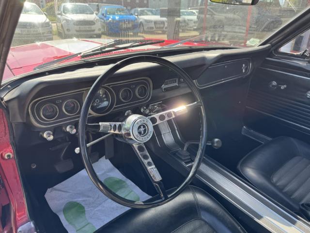 Ford Mustang image 3