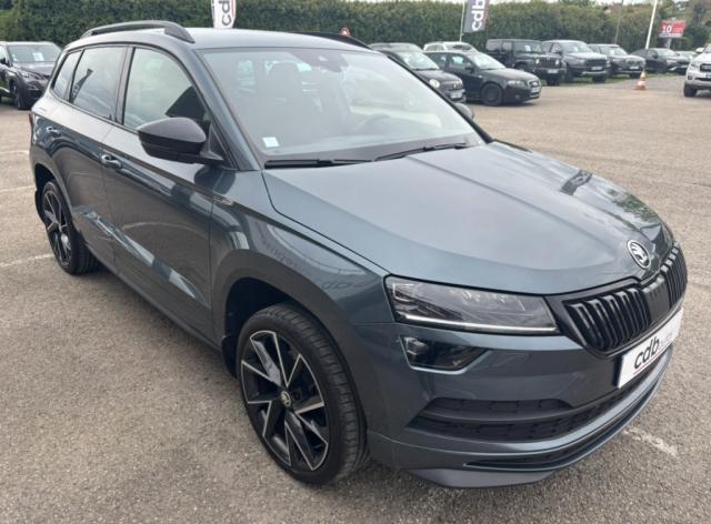 Skoda Karoq image 1