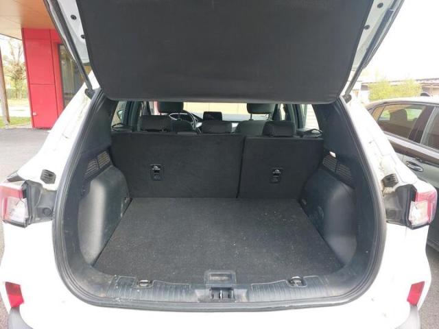 Ford Kuga image 1