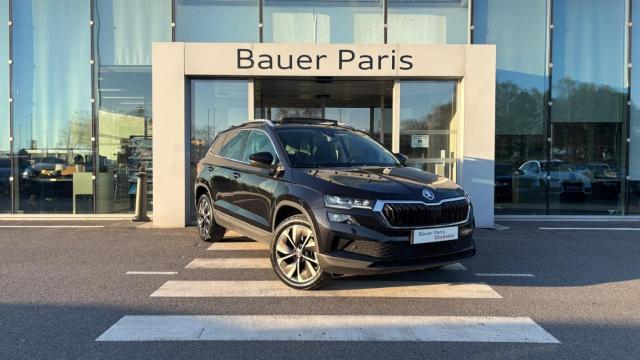 Skoda Karoq 2.0 Tdi 116 Ch Scr Dsg7 Style