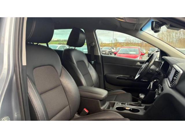Kia Sportage image 3