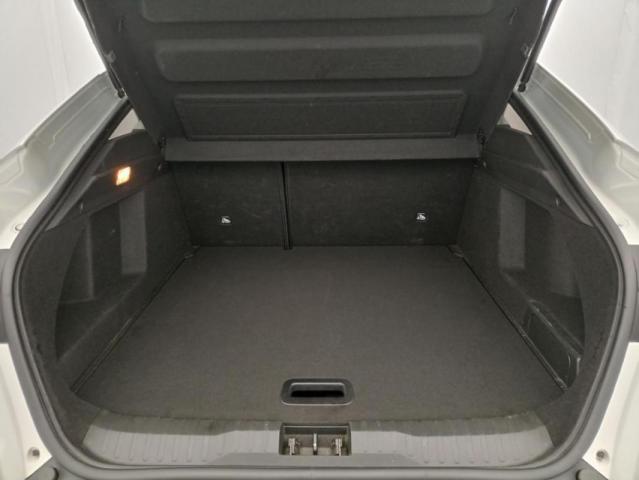 Renault Arkana image 1