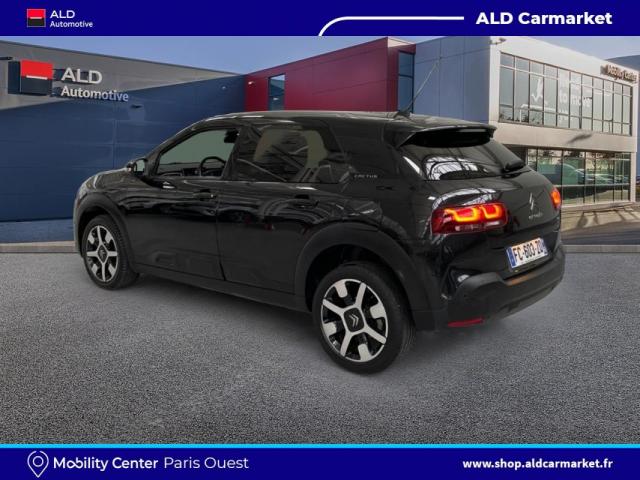 C4 Cactus image 7