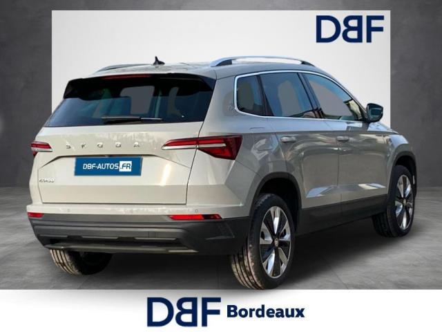 Skoda Karoq image 1