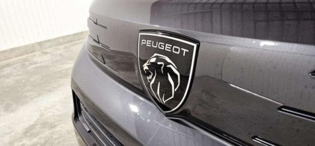 Peugeot Traveller image 4