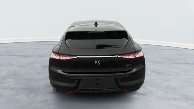 Ds Ds 4 image 6
